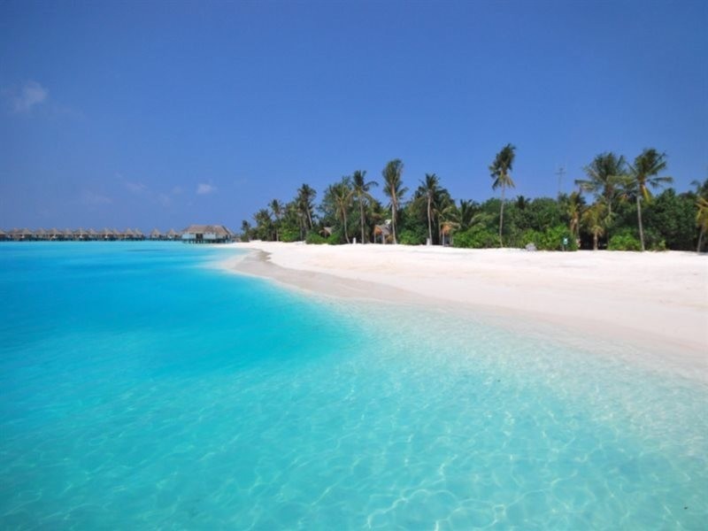 Safari Island Resort 19/58