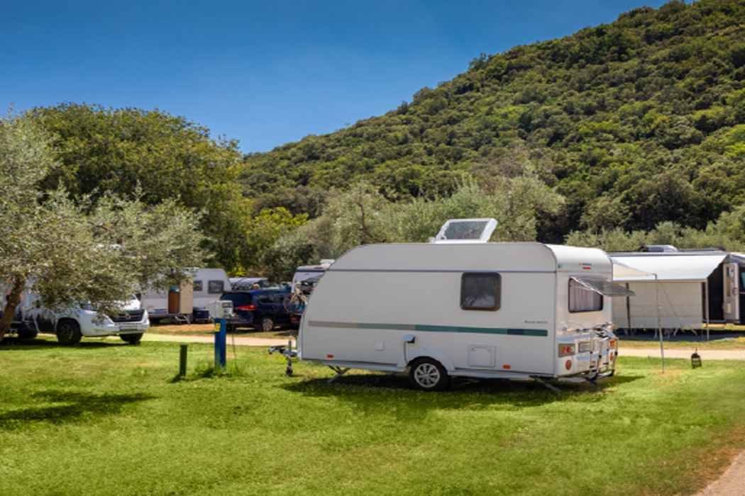 Camping Oliva 5/56