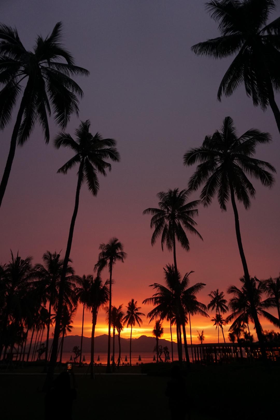 Dialoog Banyuwangi in BANYUWANGI