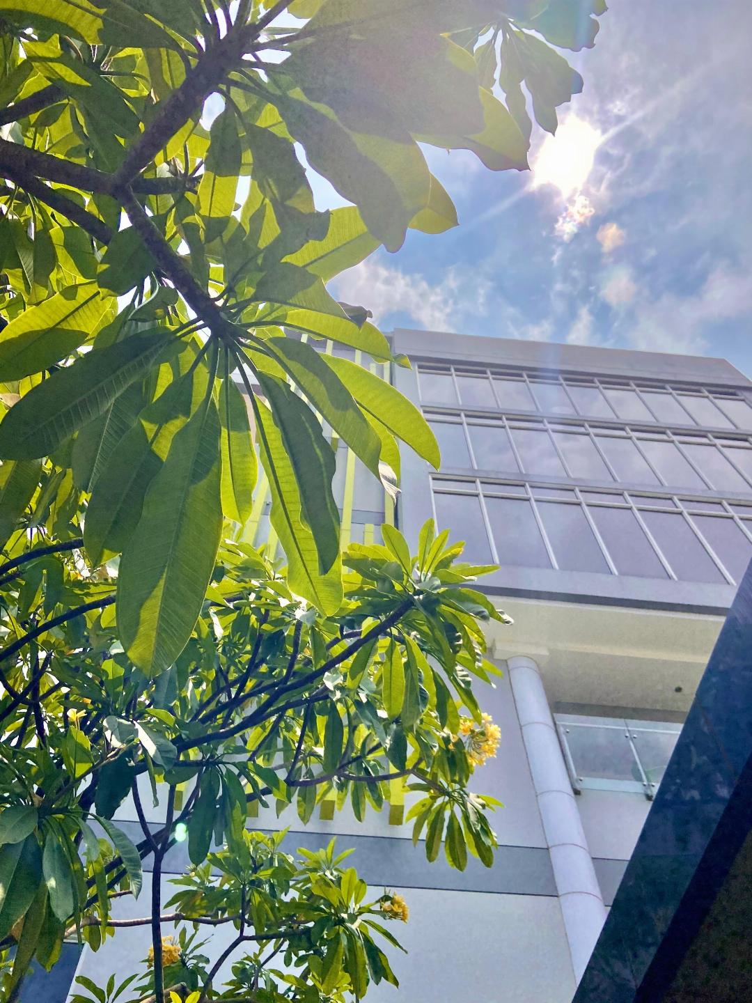 Hotel Primebiz Tegal