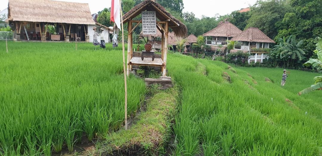 KTS Balinese Villas (ex KTS Day Spa & Retreat) 7/83