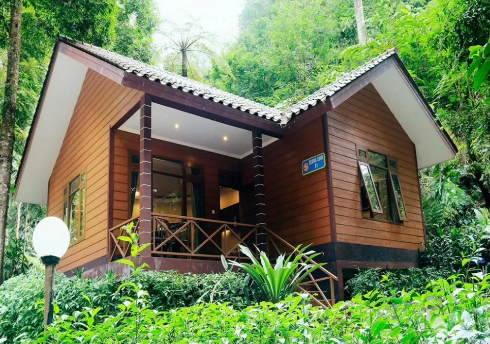 Safari Lodge Hotel 1/51