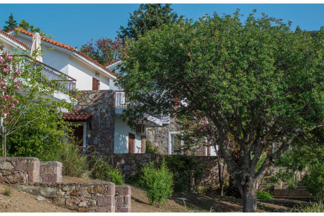 Hotel Delfinia in Lesbos