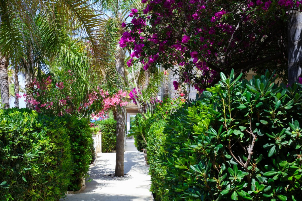 Baia Del Godano Resort & Spa 36/78