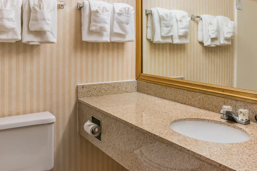 Quality Inn and Suites Detroit Metro Airport 13/27