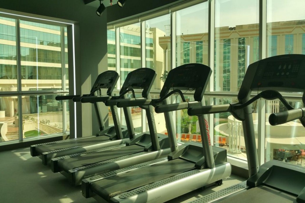 Millennium Airport Hotel Dubai 54/114