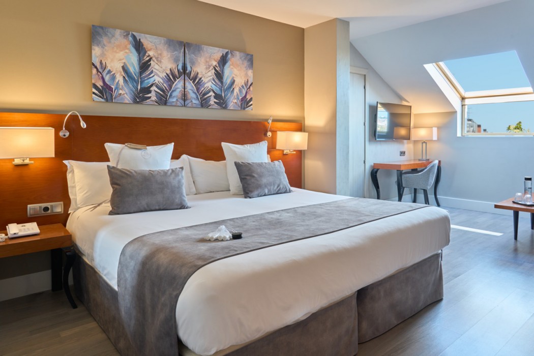 Hotel Puerta de Toledo 12/29
