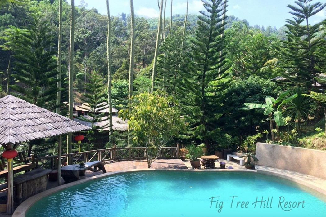 Fig Tree Hill Resort 25/38