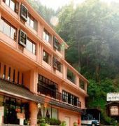 Shin Iya Onsen Hotel Kazurabashi 1/55