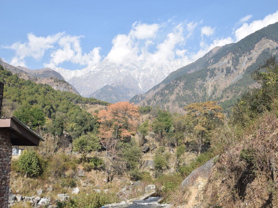 Hotel Sunshine Dharamshala 36/52