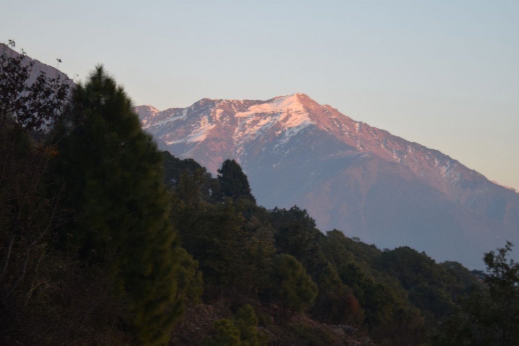 Regenta Resort Exotica Dharamshala on Hilltop 46/78