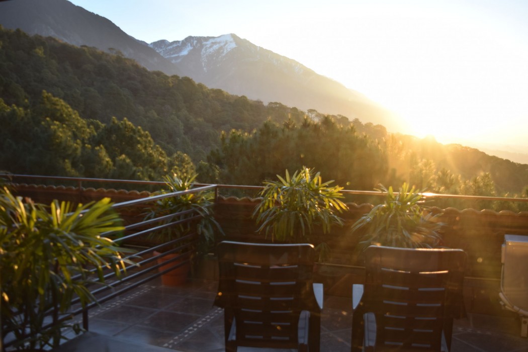 Regenta Resort Exotica Dharamshala on Hilltop 39/78