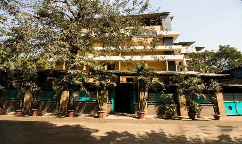 Treebo Trend Golden Nest 30/86