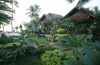 SALAD BEACH RESORT 3/38