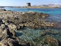 Le Tonnare di Stintino - Beach Resort 26/37