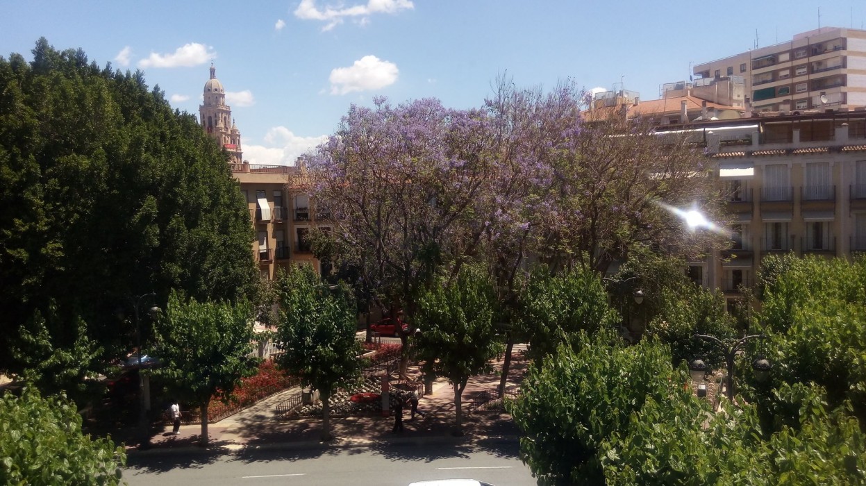 Pensión Segura 14/32