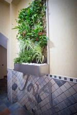 Jova Hotel 23/73