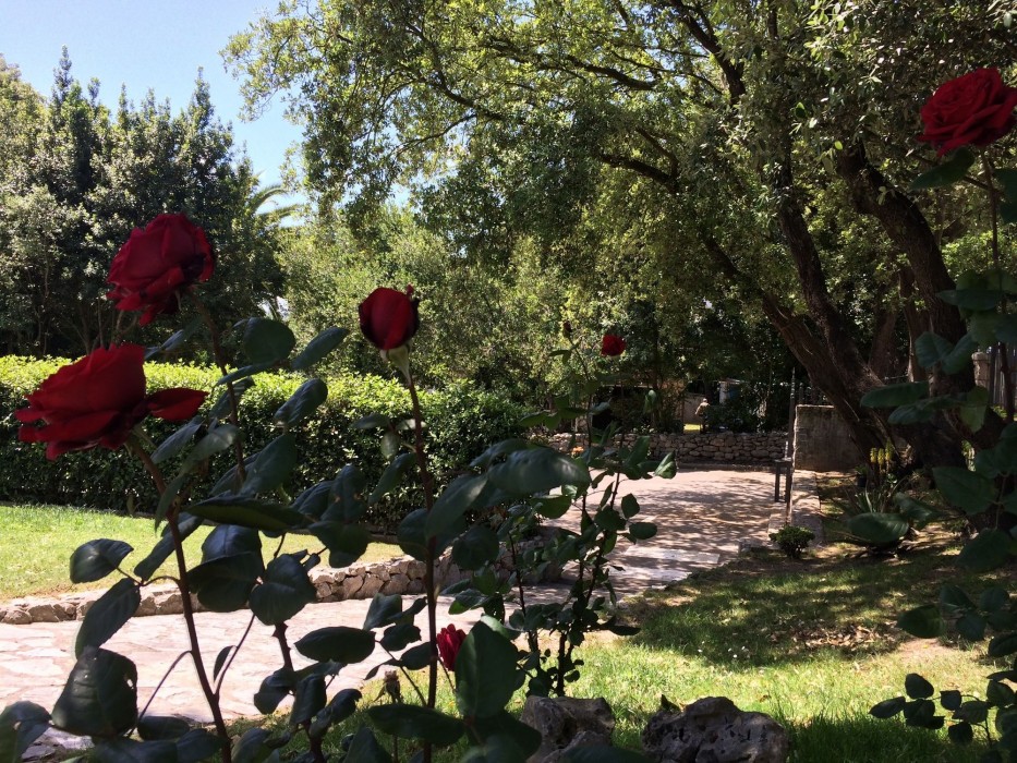 Posada La Robleda 31/61