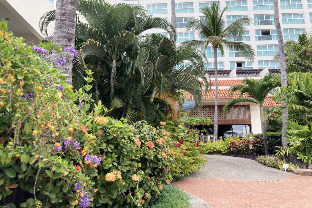 Sheraton Buganvilias Puerto Vallarta in PUERTO VALLARTA