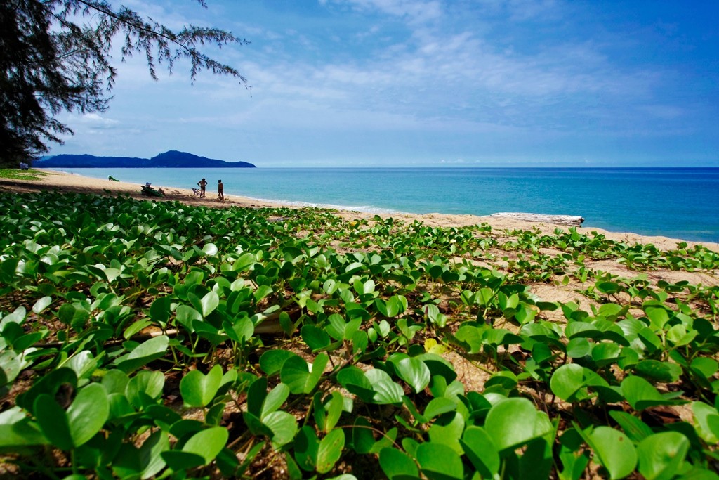 Le Meridien Phuket Mai Khao Beach Resort 47/60
