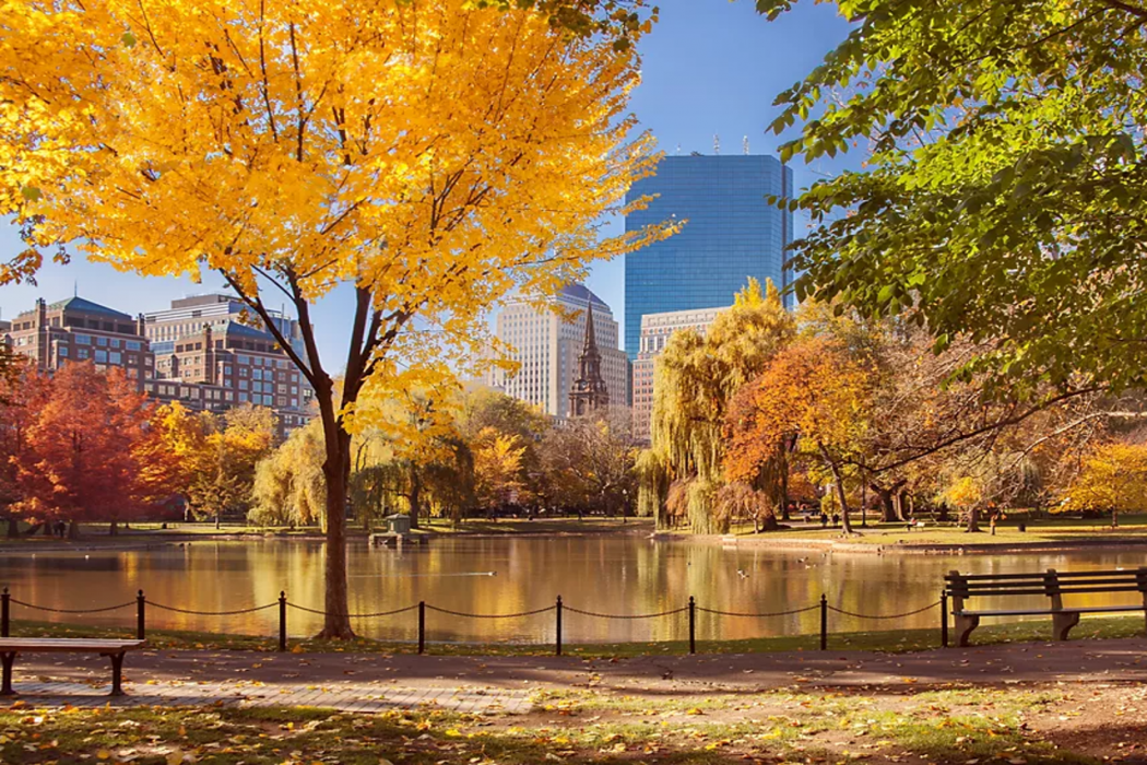 Fairmont Copley Plaza 100/105