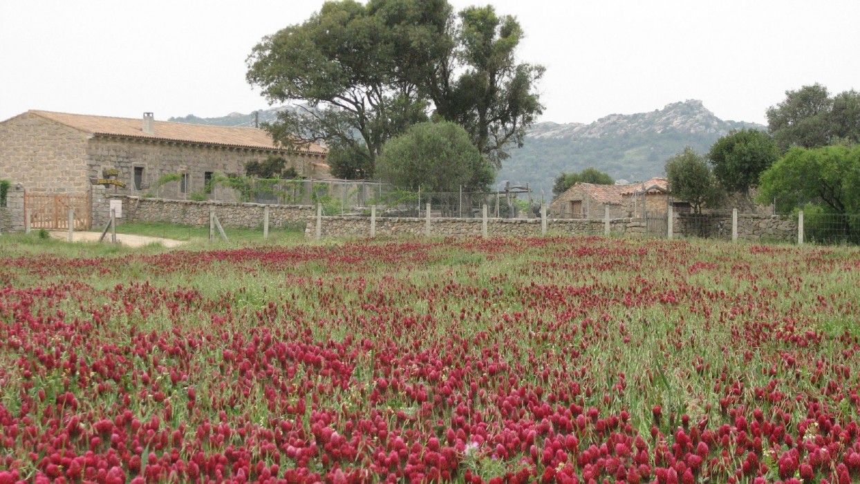 Agriturismo Lu Branu 24/69
