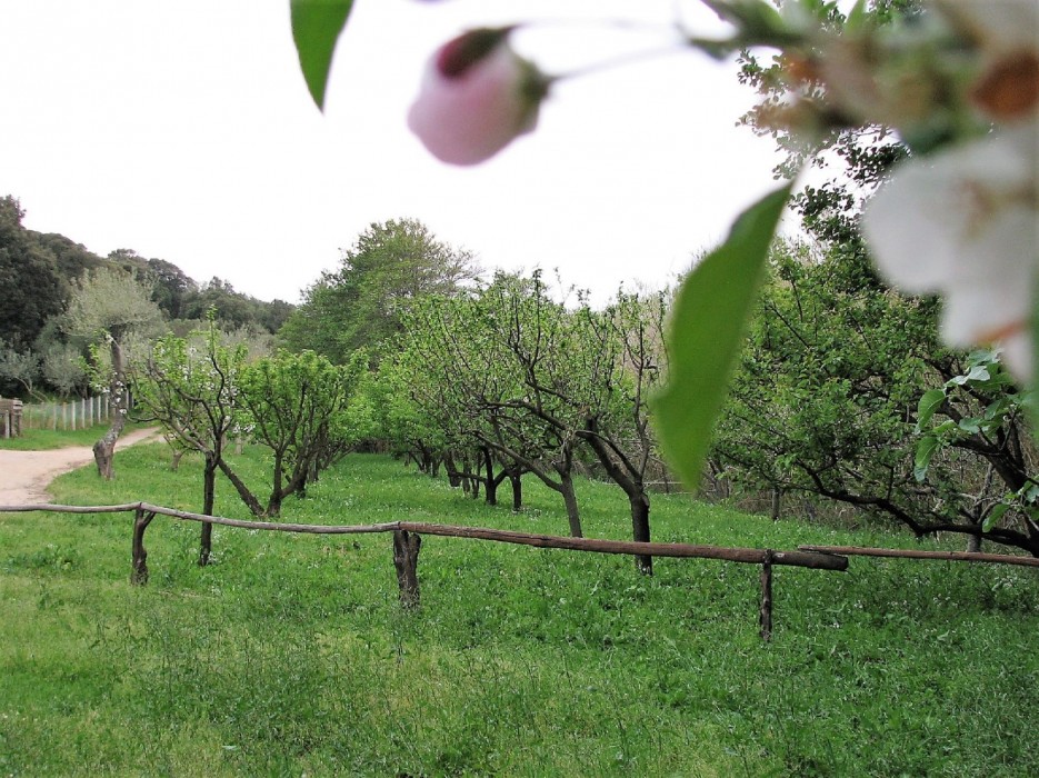 Agriturismo Lu Branu 23/69
