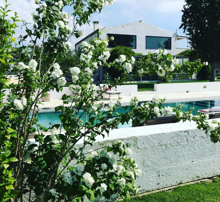 Masseria Prosperi 19/66