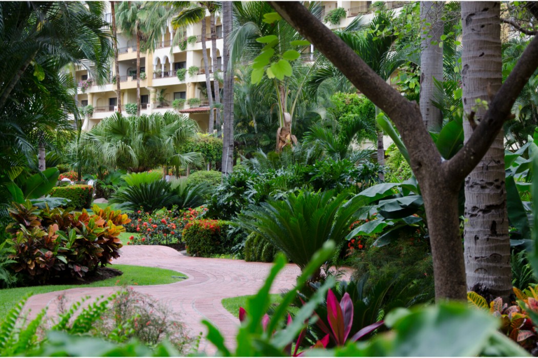 Velas Vallarta Suites Resort All Inclusive 6/99