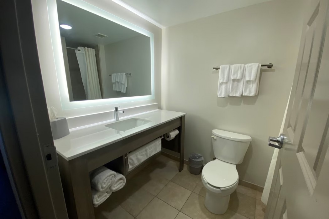 Holiday Inn Express & Suites Raleigh West - Lenovo Center 52/102