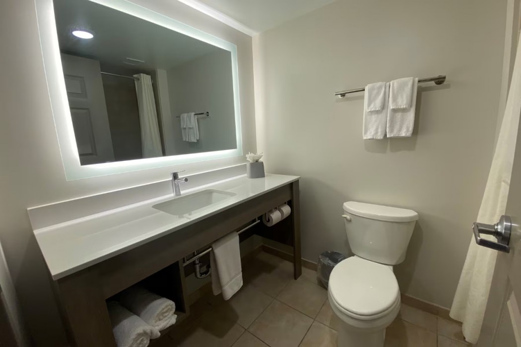 Holiday Inn Express & Suites Raleigh West - Lenovo Center 51/102