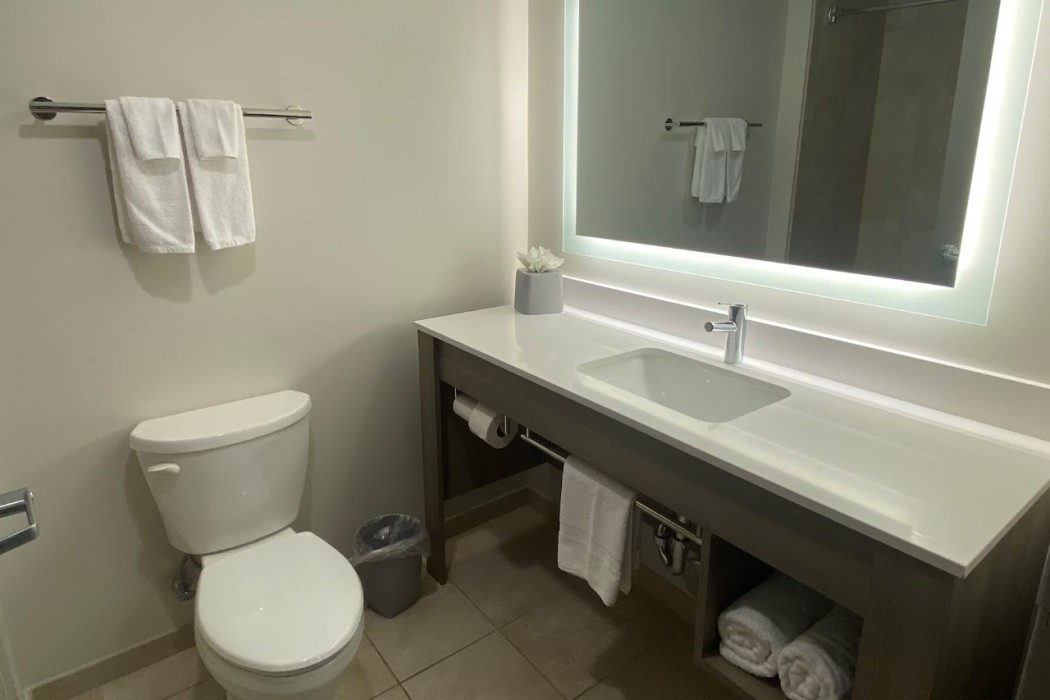 Holiday Inn Express & Suites Raleigh West - Lenovo Center 48/102