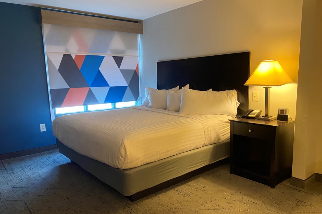 Holiday Inn Express & Suites Raleigh West - Lenovo Center 26/102