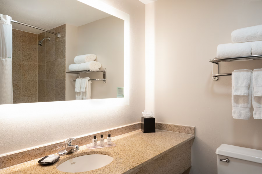 Wyndham Indianapolis Airport 29/72