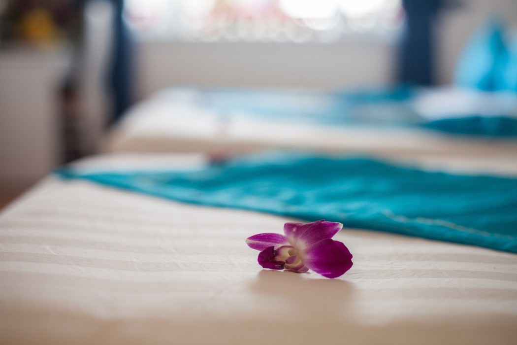 Hanoi Buddy Inn & Travel 35/99