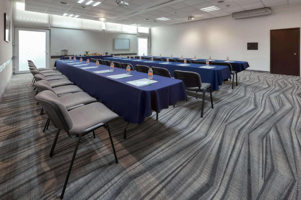 Hilton Garden Inn Mexico City Polanco 18/43