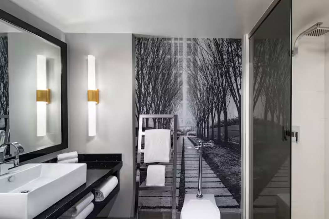 The Starling Atlanta Midtown, Curio Collection by Hilton 17/51