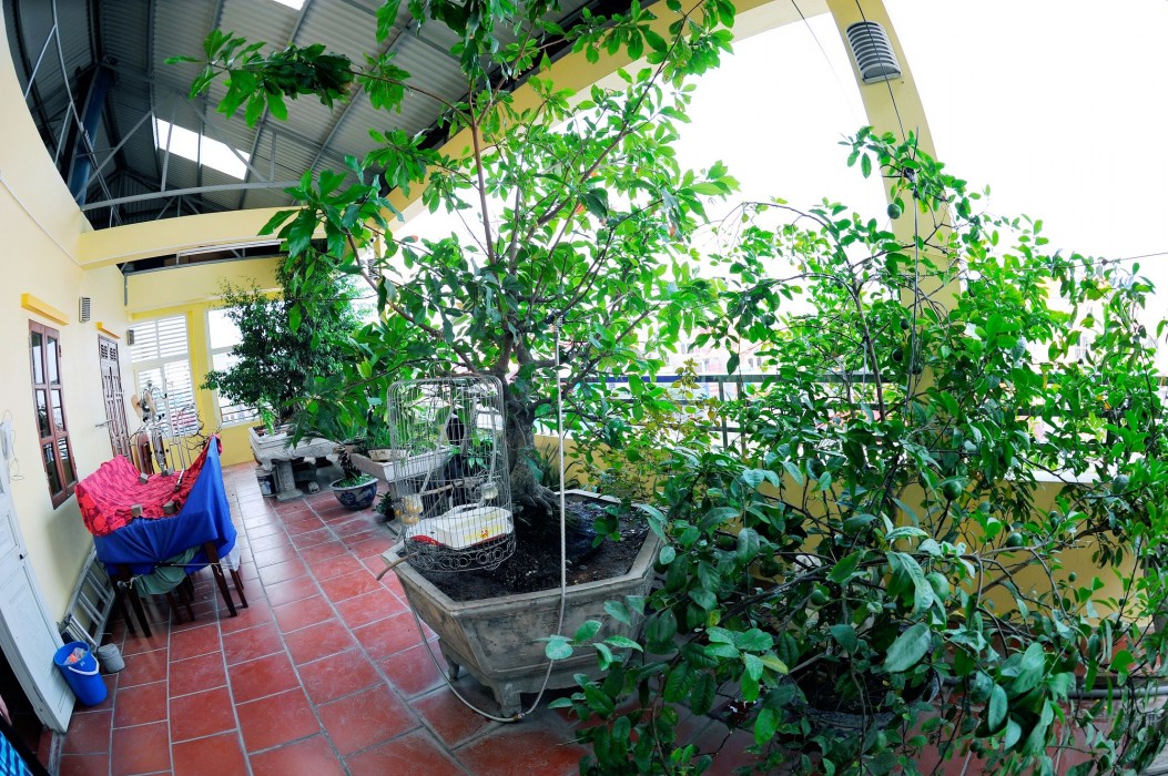 Binh Minh Hotel Ninh Binh 45/76