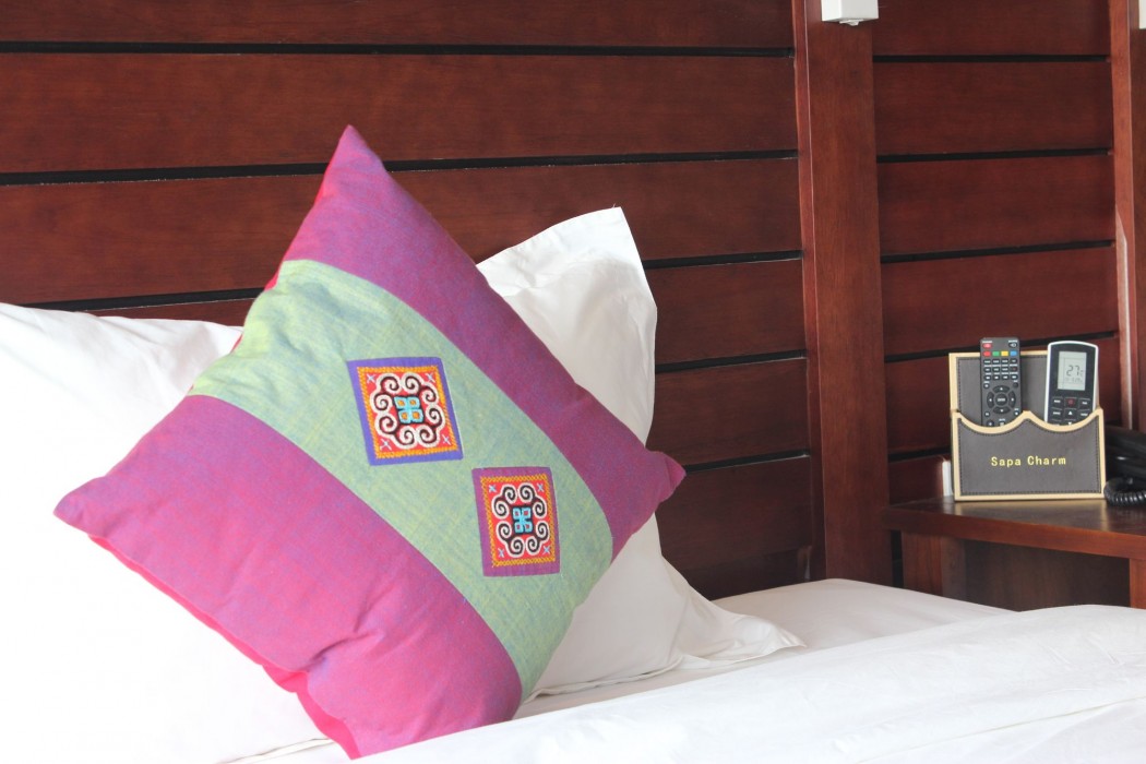 Sapa Charm Hotel 35/99
