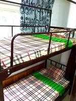 Sakura Hostel Saigon 41/85