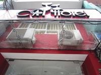 Cat Hotel 39/74