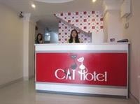 Cat Hotel 44/74