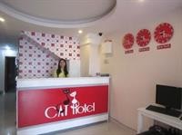 Cat Hotel 46/74