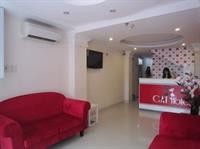 Cat Hotel 41/74