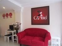 Cat Hotel 42/74