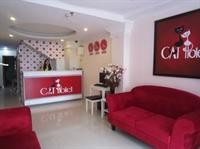 Cat Hotel 43/74