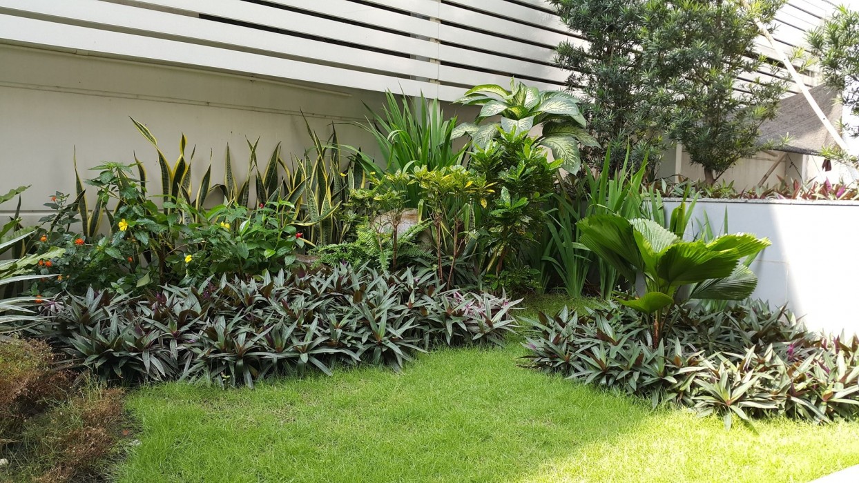An Phu Plaza Serviced Apartment 27/47
