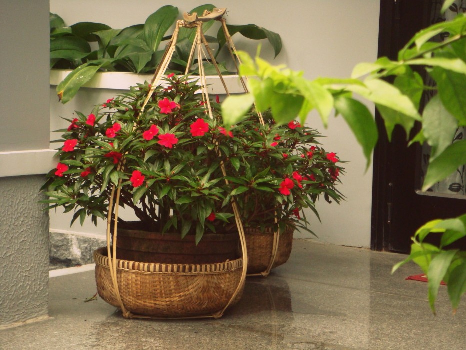 Green Coco Homestay Hoi An 48/91