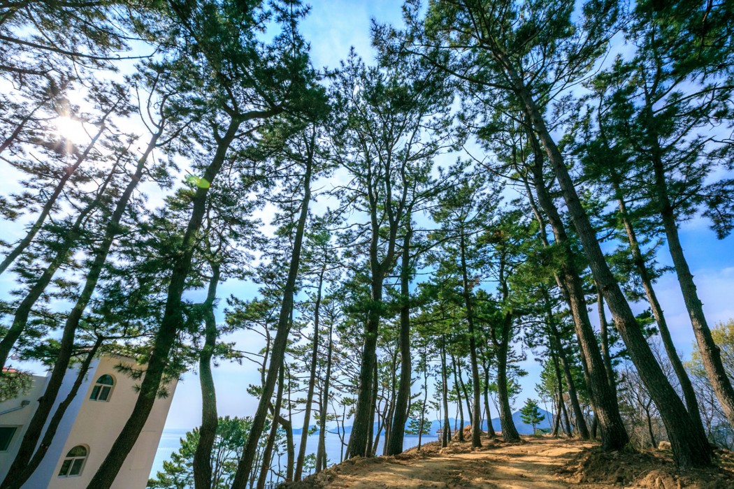 Tongyeong Beach Castle Hotel 35/54