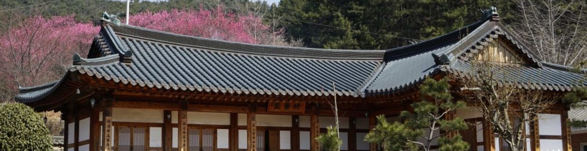 Peepul Hanok Stay 9/28